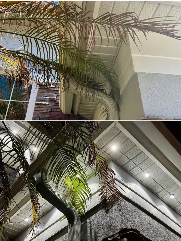 Day & night — permanent outdoor lighting in Orlando